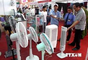 Illustrative image (Source: VNA)